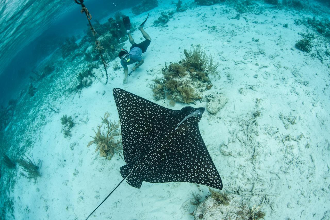 Turneffe Island Resort Turneffe Atoll Bagian luar foto